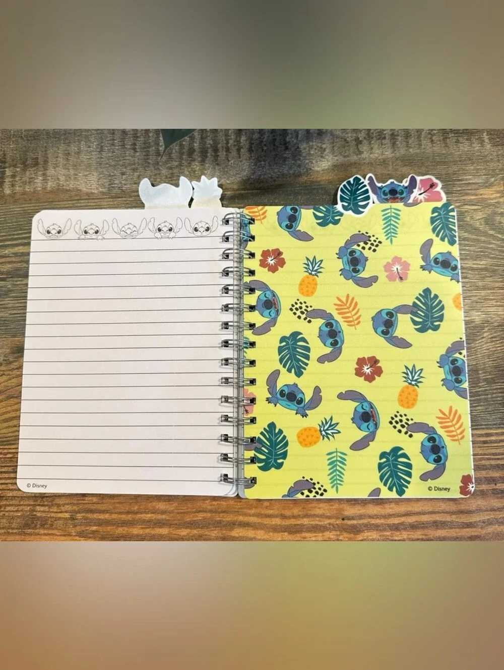 Disney spiral bound
